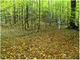 Spodnje Stranice (graves of hundred hostages) - Stolpnik